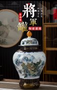 景德鎮陶瓷酒壇酒缸中式御藏山水將軍罐10斤裝家